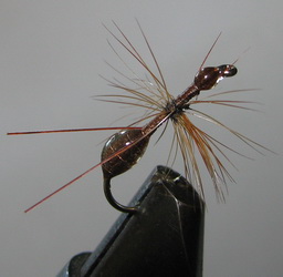 ���� Ant flies ������� ANT 08 ( Brown  EPOXY) Kumho dry � 12